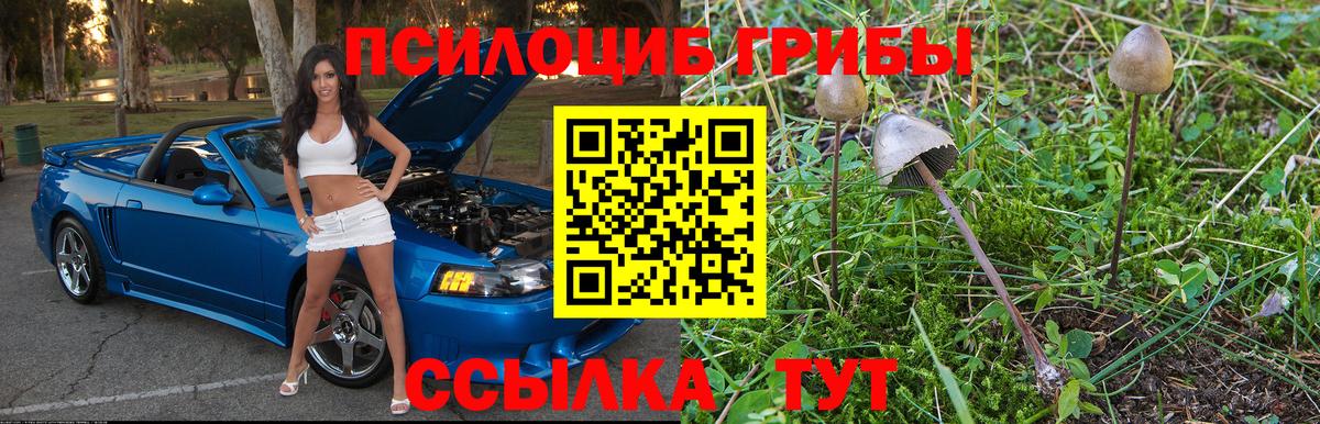 Галлюциногенные грибы Psilocybine cubensis Краснодар